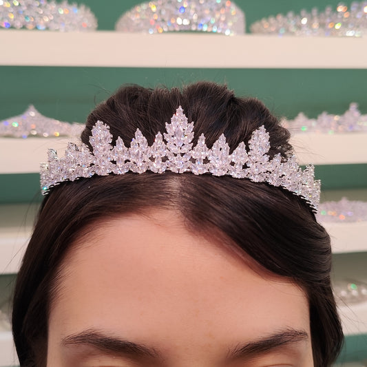 Coroa de zircônia 2023927